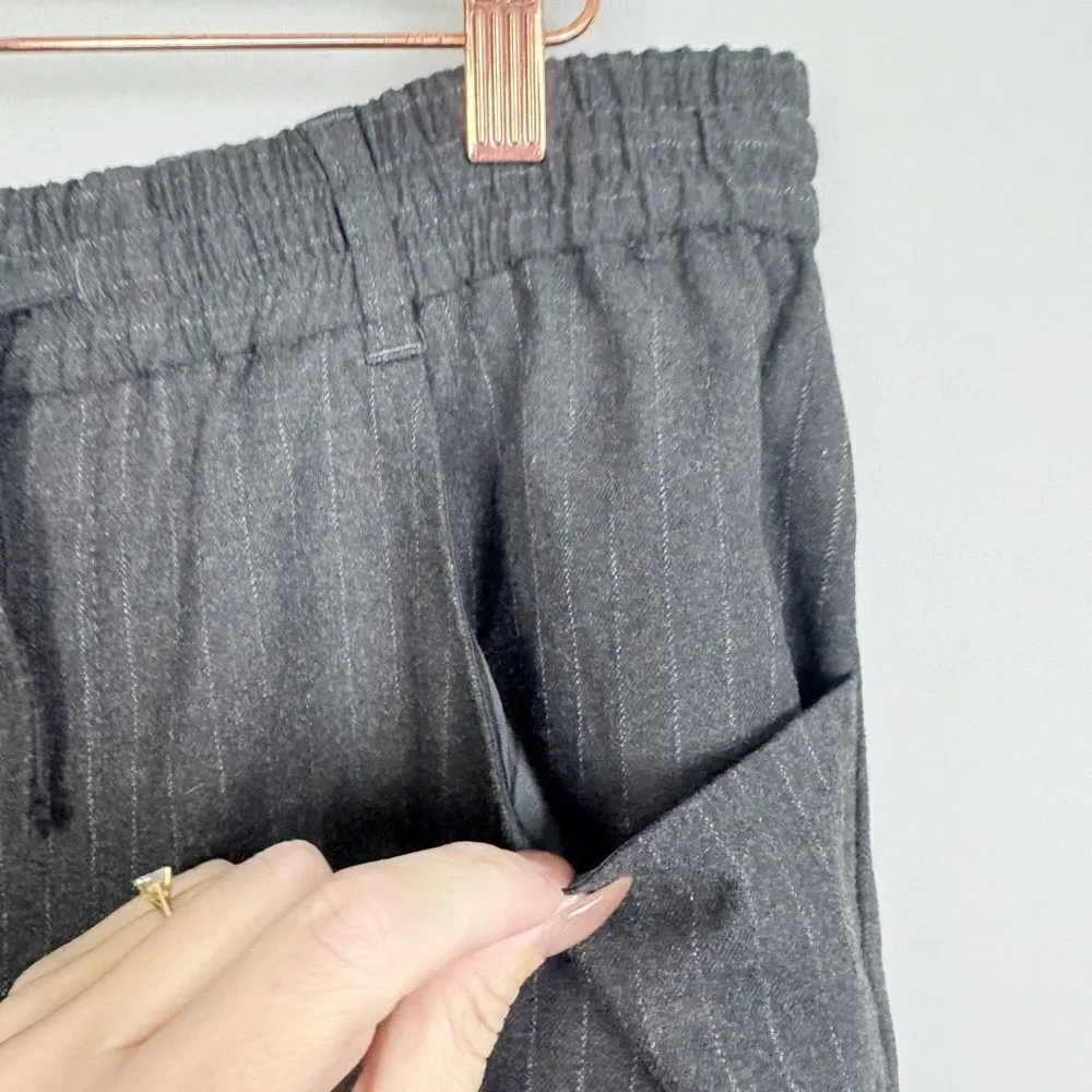 ZARA | Drawstring Waist Gray Pinstripe Print Pants Women’s Size 10